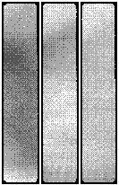 Spectroscopy array filter 003