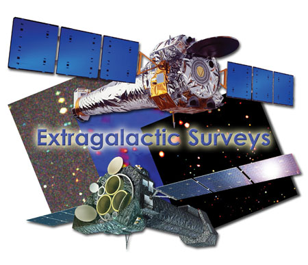 Extragalactic Surveys
