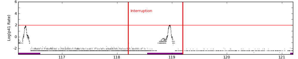 intro plot