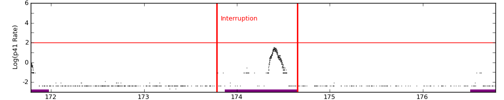 intro plot