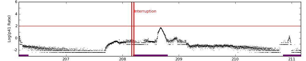 intro plot