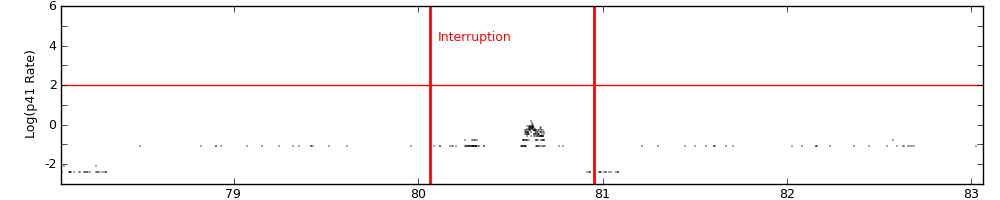 intro plot